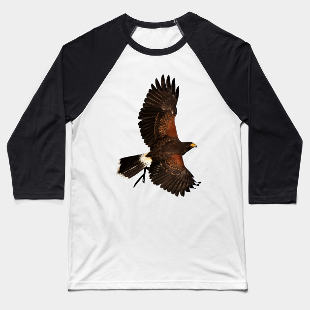 Adler Eagle Freedom Courage Spirit Power Truth Liberty Eagle