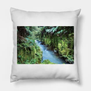 Whirinaki Forest Pillow