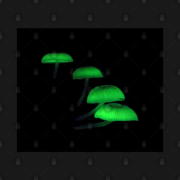 Bioluminescent Mushrooms by wanungara