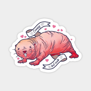 Creepy but cute naked mole rat Magnet