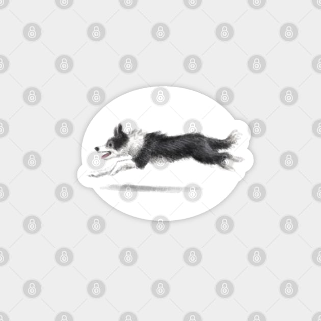 Collie Dog Magnet by Elspeth Rose Design