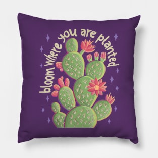 Bloom Where You Are Planted Pillow