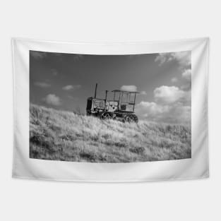 Hillside International - BW Edition Tapestry