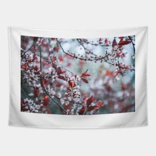 Sakura Cherry Blossoms Springtime Tapestry