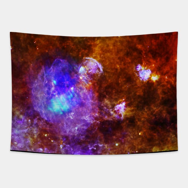 Life and Death in a Star-Forming Cloud Tapestry by The Black Panther