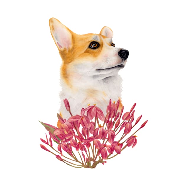 Corgi dog with flowers by nadiaham