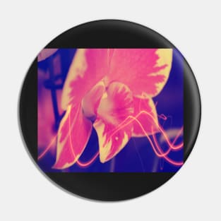 Pink Orchid Photo Pin