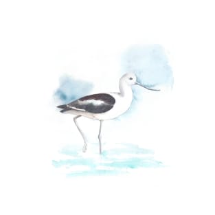 Avocet, watercolor painting, bird T-Shirt