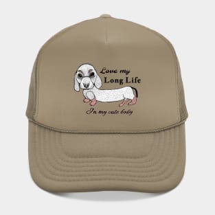 dachshund Hat