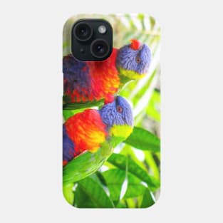 Rainbow Lorikeets Phone Case