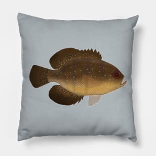 Bluespotted Sunfish Pillow