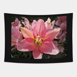 Pink lily Tapestry