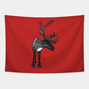 Santa Claus Reindeer Tapestry