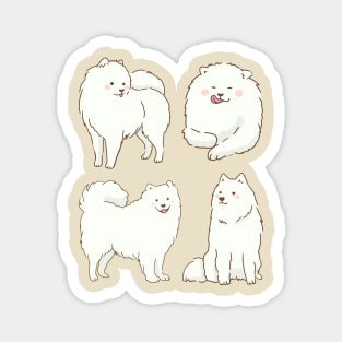 samoyed dog smiling with tongue out stickers Magnet