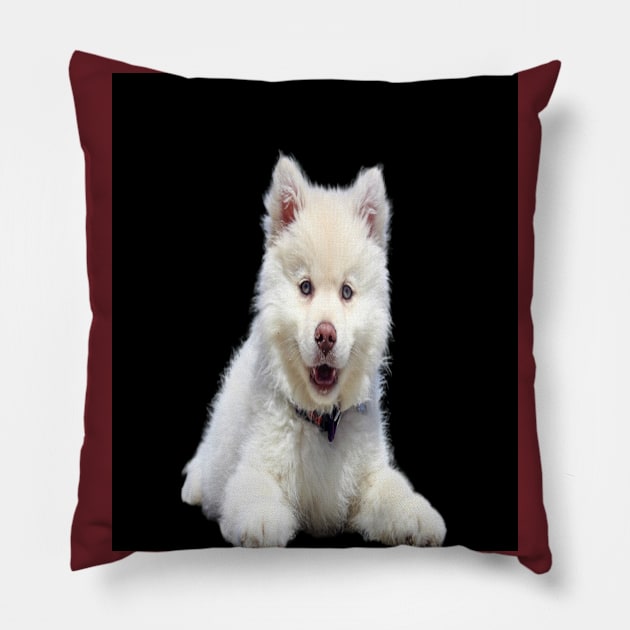 White dog Pillow by KA&KO