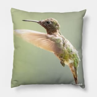 Ruby-throated Hummingbird in flight Pillow