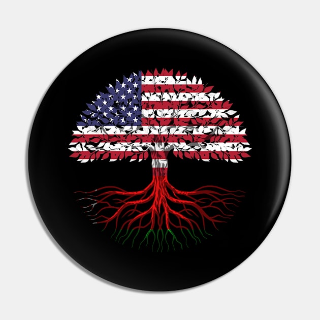 Belarusian American citizenship gift Pin by SerenityByAlex