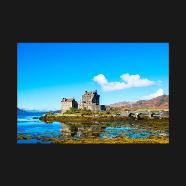 Iconic Eilean Donan Castle by RosNapier