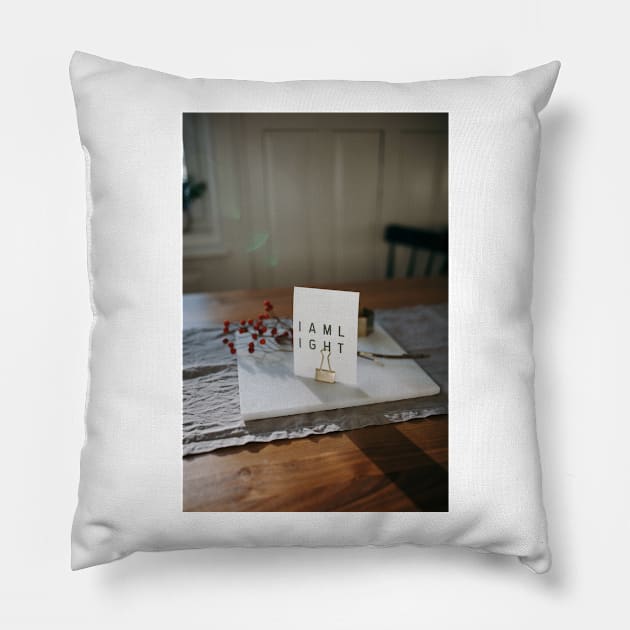 Minimalistic design Pillow by GenesisClothing