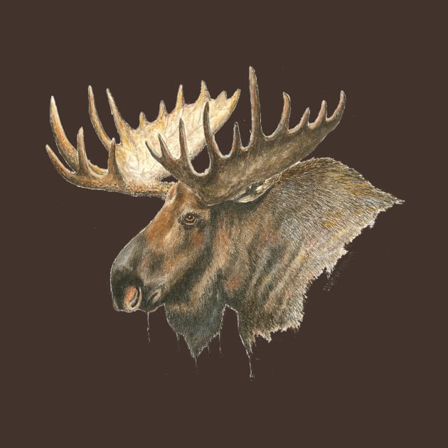 Moose Portrait by Dave Bartholet Wildlife Art