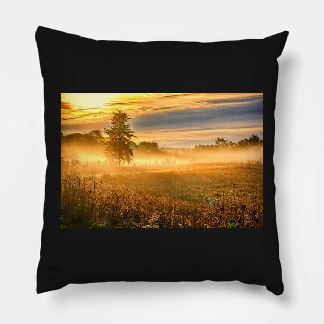 Morning Mist Over Country Road Pillow by Robert Alsop