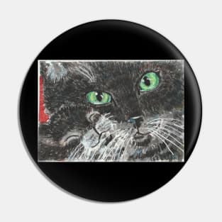 Mother and baby black cat watercolor painting Pin