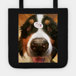 Vote! Tote