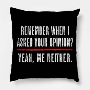 Remember when I asked your opinion? Yeah, me neither Pillow