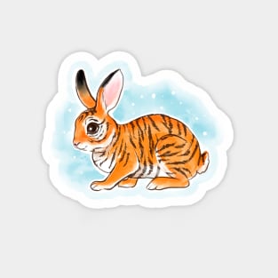 Year of the tiger and rabbit Magnet