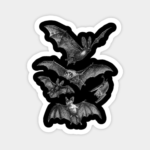 Release the Bats Magnet by becauseskulls