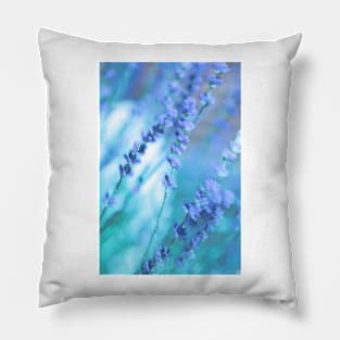 Summer Lavender Pillow