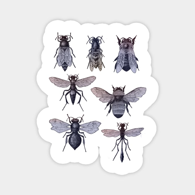 Bees and Wasp (gradient) Magnet by gemsart1990