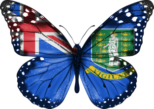 British Virgin Islanders Flag  Butterfly - Gift for British Virgin Islanders From British Virgin Islands Magnet