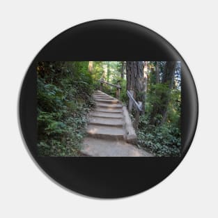 Stairway to Marymere Pin