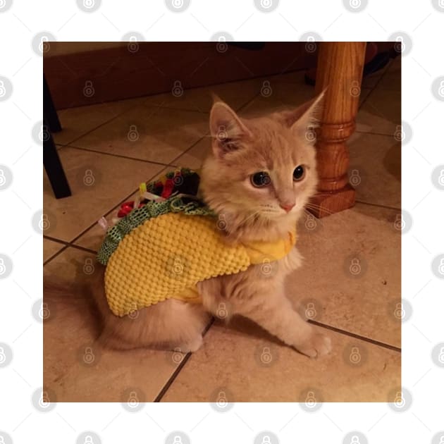 TacoCat by andsteven