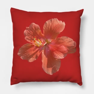 Peach Pink Hibiscus Pillow