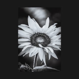 Sunflower Hour, Black and White Photograph T-Shirt