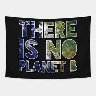 There Is No Planet B Tapestry