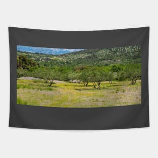 Olive Trees and Wild Flowers on Brac, Croatia Tapestry