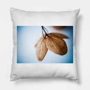 quiescent Pillow