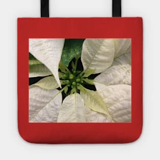 A White Christmas Poinsettia of Peace Joy and Harmony Tote