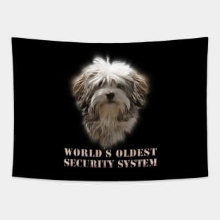 World's oldest security system Tapestry