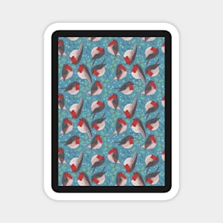 Robins-Christmas-blue-winter Magnet