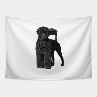 Portuguese Water Dog Tapestry