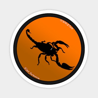 Scorpion Orange Gradient Magnet