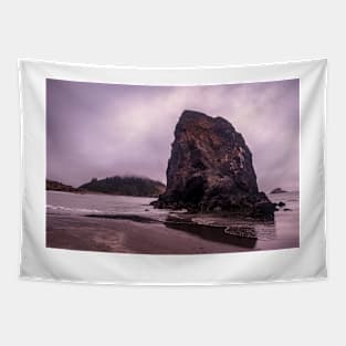 Moody rocky beach Tapestry