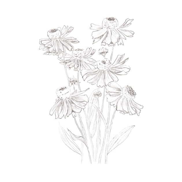 helenium flowers drawing by colorandcolor