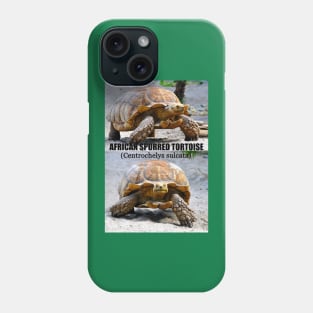 African Spurred Tortoise poster Phone Case