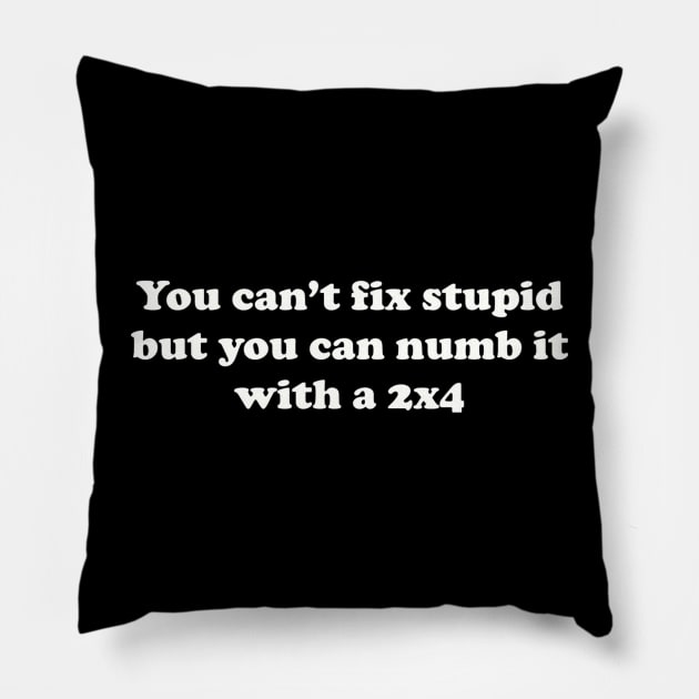 You can’t fix stupid but you can numb it with a 2x4 Pillow by TeeGeek Boutique