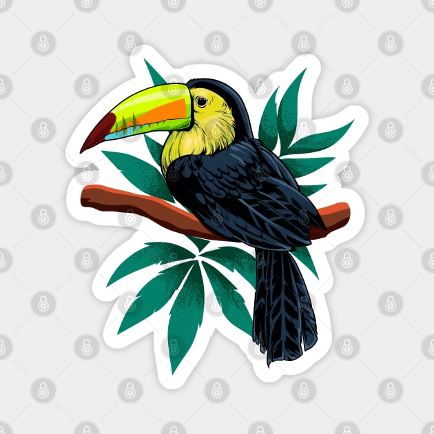 Bird of paradise - drawing of toucan Magnet by Modern Medieval Design